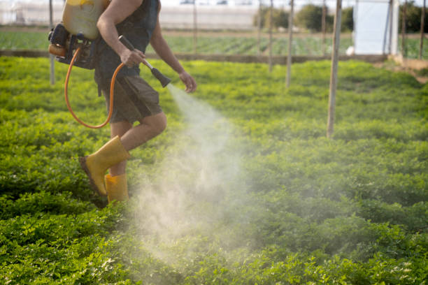 Best Affordable Exterminators  in Aurora, MN