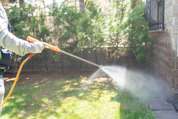 Best Residential Pest Control  in Aurora, MN