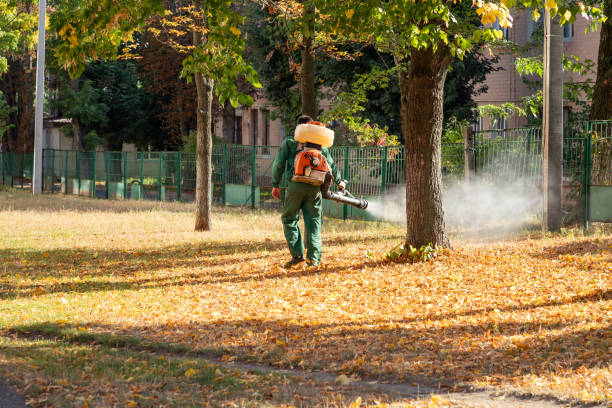 Best Pest Removal Services  in Aurora, MN
