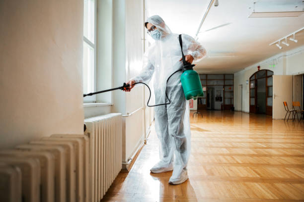 Best Termite Control Services  in Aurora, MN
