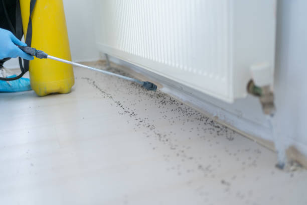 Best Wildlife Control Services  in Aurora, MN